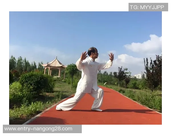 居家体育锻炼活动的多样化选择与健康生活方式的有效结合探讨